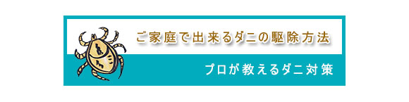 プロが教えるダニ対策