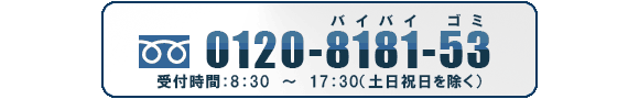 0120-8181-53