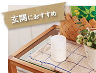 玄関におすすめ