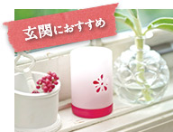 玄関におすすめ