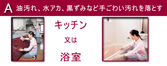 選べるお掃除定額サービスaグループ