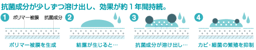 抗菌成分が少しずつ溶け出し、効果が1年間持続