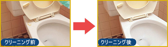 臭いの原因となる尿石をしっかり除去します。